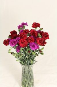 Alstroemeria and Spray Carnation Bouquet
