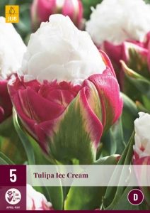 Ice Cream Tulip Bulbs